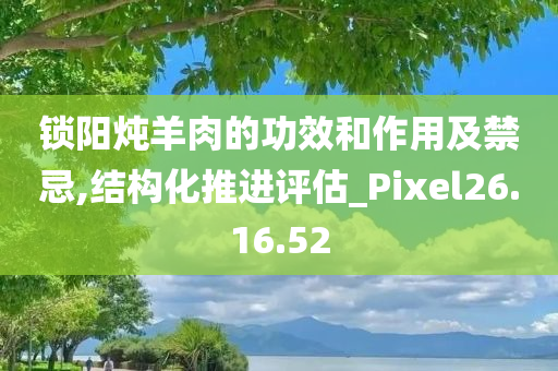 锁阳炖羊肉的功效和作用及禁忌,结构化推进评估_Pixel26.16.52