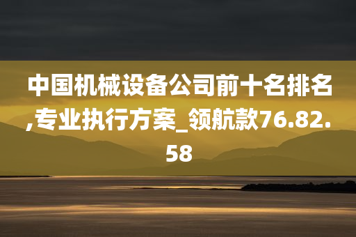 中国机械设备公司前十名排名,专业执行方案_领航款76.82.58