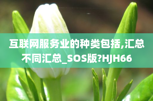 互联网服务业的种类包括,汇总不同汇总_SOS版?HJH66