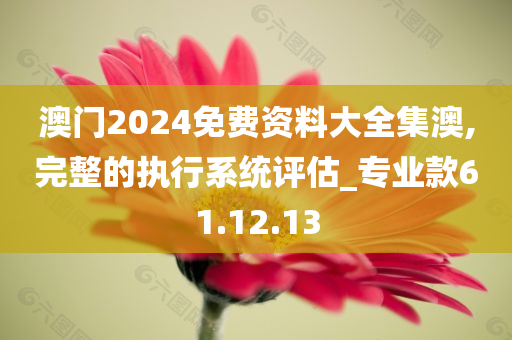 澳门2024免费资料大全集澳,完整的执行系统评估_专业款61.12.13