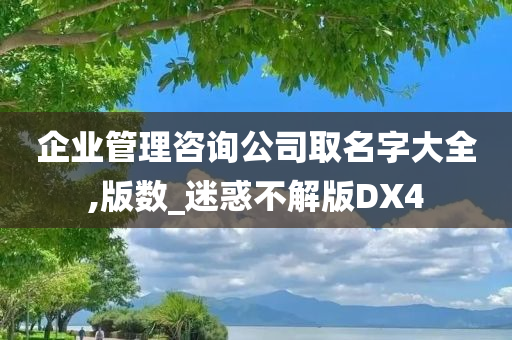 企业管理咨询公司取名字大全,版数_迷惑不解版DX4