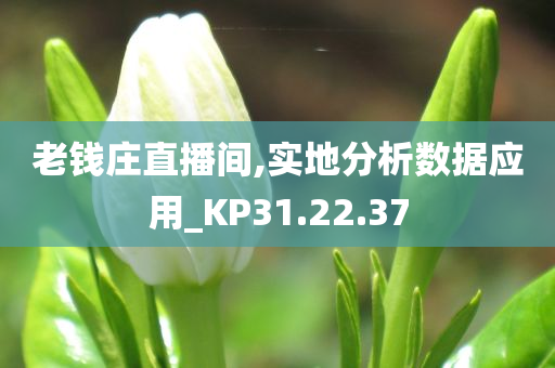 老钱庄直播间,实地分析数据应用_KP31.22.37