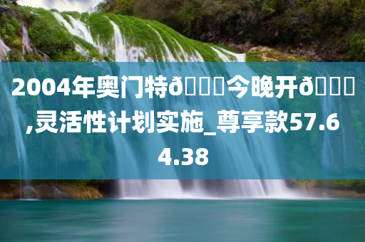 2004年奥门特🐎今晚开🐎,灵活性计划实施_尊享款57.64.38