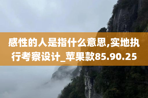 感性的人是指什么意思,实地执行考察设计_苹果款85.90.25