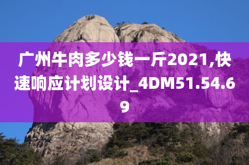 广州牛肉多少钱一斤2021,快速响应计划设计_4DM51.54.69