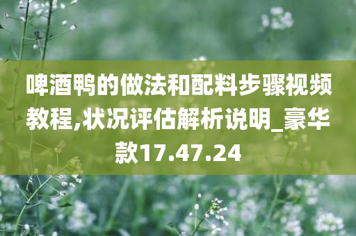 啤酒鸭的做法和配料步骤视频教程,状况评估解析说明_豪华款17.47.24