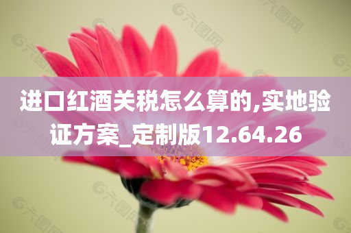 进口红酒关税怎么算的,实地验证方案_定制版12.64.26