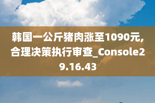 韩国一公斤猪肉涨至1090元,合理决策执行审查_Console29.16.43