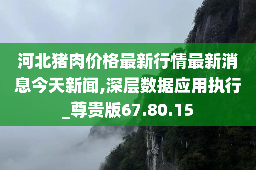 河北猪肉价格最新行情最新消息今天新闻,深层数据应用执行_尊贵版67.80.15