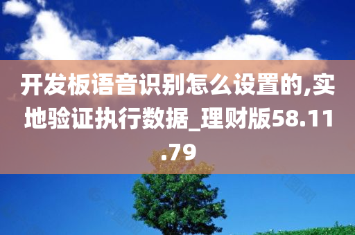 开发板语音识别怎么设置的,实地验证执行数据_理财版58.11.79