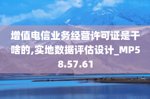 增值电信业务经营许可证是干啥的,实地数据评估设计_MP58.57.61