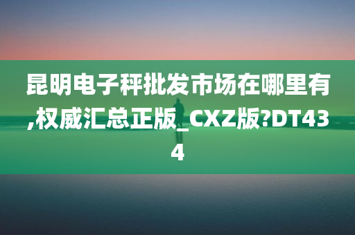 昆明电子秤批发市场在哪里有,权威汇总正版_CXZ版?DT434