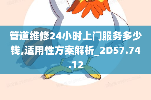 管道维修24小时上门服务多少钱,适用性方案解析_2D57.74.12