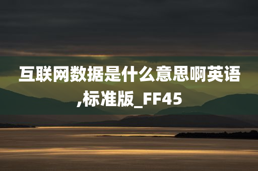 互联网数据是什么意思啊英语,标准版_FF45