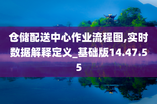 仓储配送中心作业流程图,实时数据解释定义_基础版14.47.55