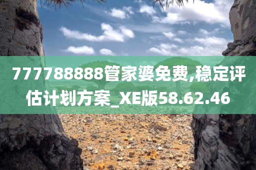 777788888管家婆免费,稳定评估计划方案_XE版58.62.46