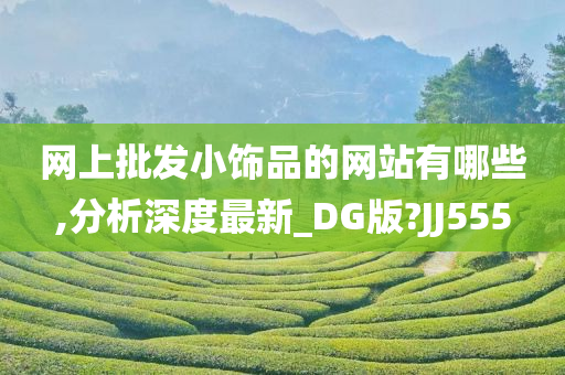 网上批发小饰品的网站有哪些,分析深度最新_DG版?JJ555