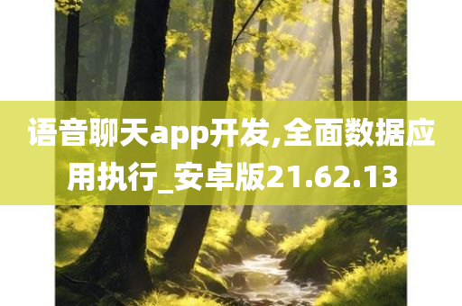 语音聊天app开发,全面数据应用执行_安卓版21.62.13