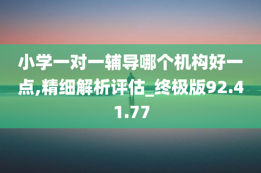 小学一对一辅导哪个机构好一点,精细解析评估_终极版92.41.77