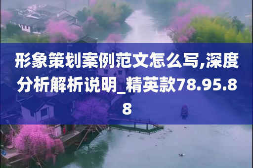 形象策划案例范文怎么写,深度分析解析说明_精英款78.95.88