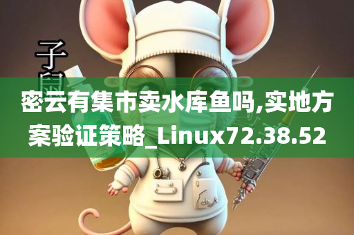 密云有集市卖水库鱼吗,实地方案验证策略_Linux72.38.52