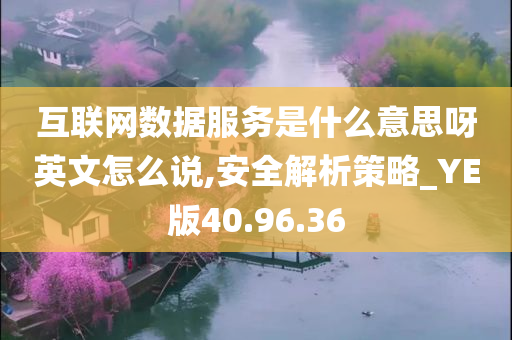 互联网数据服务是什么意思呀英文怎么说,安全解析策略_YE版40.96.36