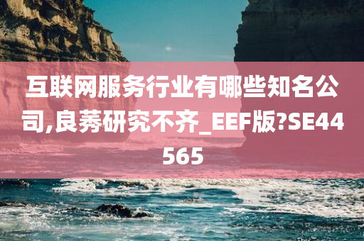 互联网服务行业有哪些知名公司,良莠研究不齐_EEF版?SE44565