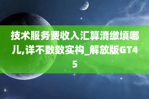 技术服务费收入汇算清缴填哪儿,详不数数实构_解放版GT45