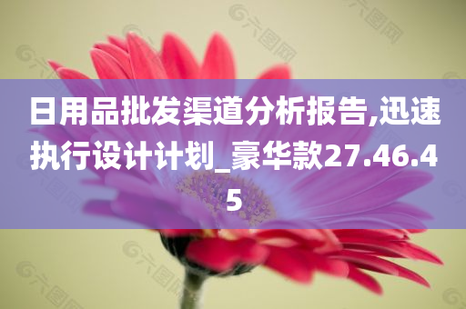 日用品批发渠道分析报告,迅速执行设计计划_豪华款27.46.45