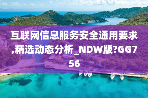 互联网信息服务安全通用要求,精选动态分析_NDW版?GG756