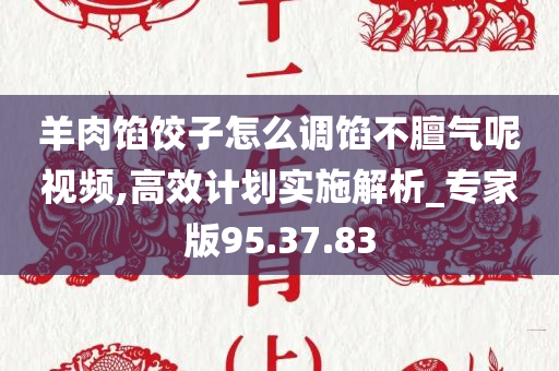 羊肉馅饺子怎么调馅不膻气呢视频,高效计划实施解析_专家版95.37.83