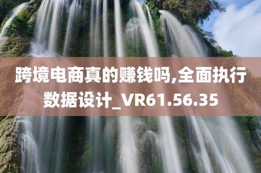 跨境电商真的赚钱吗,全面执行数据设计_VR61.56.35