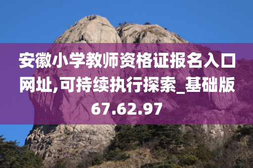 安徽小学教师资格证报名入口网址,可持续执行探索_基础版67.62.97