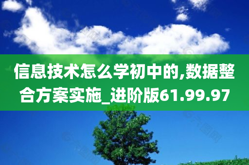 信息技术怎么学初中的,数据整合方案实施_进阶版61.99.97