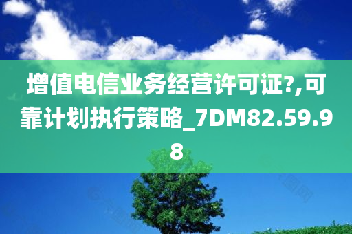 增值电信业务经营许可证?,可靠计划执行策略_7DM82.59.98