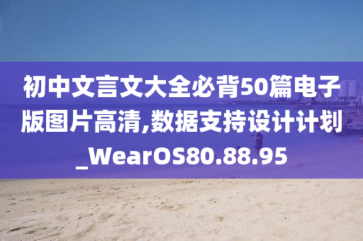 初中文言文大全必背50篇电子版图片高清,数据支持设计计划_WearOS80.88.95