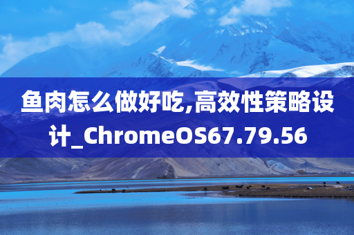 鱼肉怎么做好吃,高效性策略设计_ChromeOS67.79.56