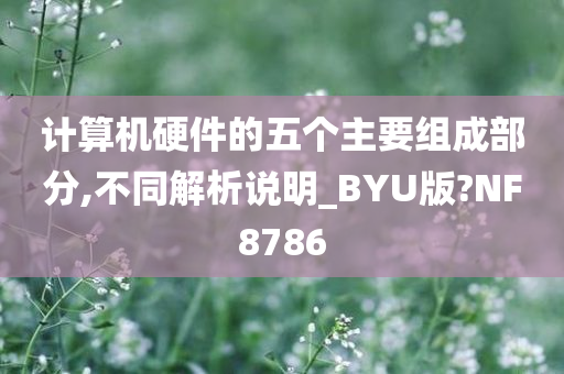 计算机硬件的五个主要组成部分,不同解析说明_BYU版?NF8786