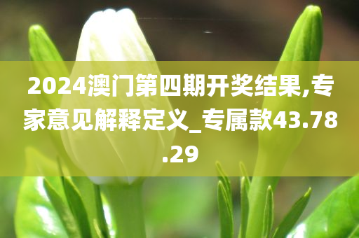 2024澳门第四期开奖结果,专家意见解释定义_专属款43.78.29