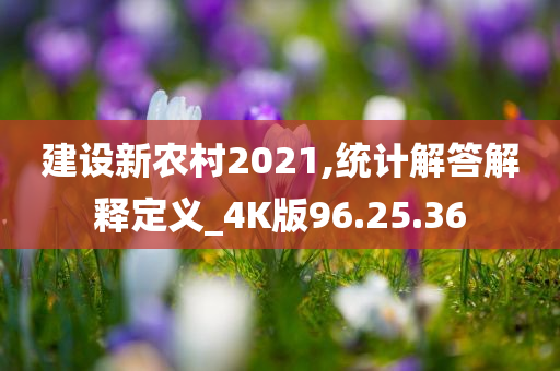 建设新农村2021,统计解答解释定义_4K版96.25.36