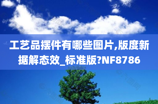 工艺品摆件有哪些图片,版度新据解态效_标准版?NF8786