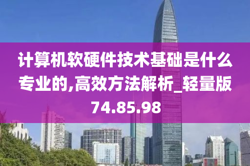 计算机软硬件技术基础是什么专业的,高效方法解析_轻量版74.85.98