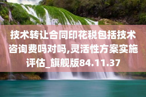 技术转让合同印花税包括技术咨询费吗对吗,灵活性方案实施评估_旗舰版84.11.37