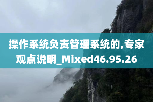 操作系统负责管理系统的,专家观点说明_Mixed46.95.26