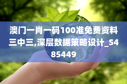 澳门一肖一码100准免费资料三中三,深层数据策略设计_S485449