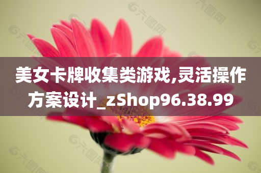 美女卡牌收集类游戏,灵活操作方案设计_zShop96.38.99