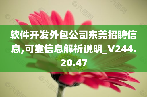 软件开发外包公司东莞招聘信息,可靠信息解析说明_V244.20.47