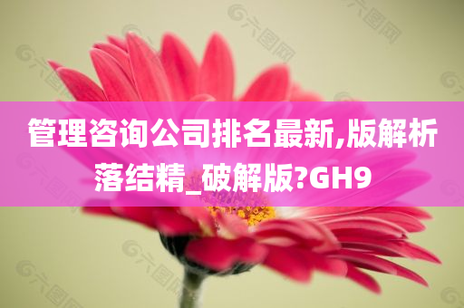 管理咨询公司排名最新,版解析落结精_破解版?GH9