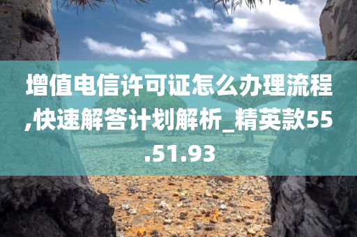 增值电信许可证怎么办理流程,快速解答计划解析_精英款55.51.93