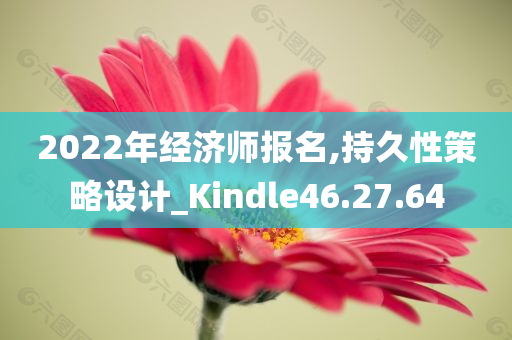 2022年经济师报名,持久性策略设计_Kindle46.27.64